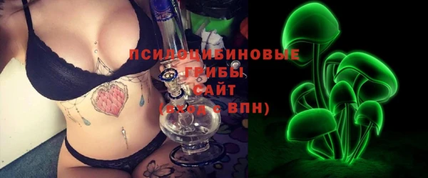 прущие грибы Бугульма