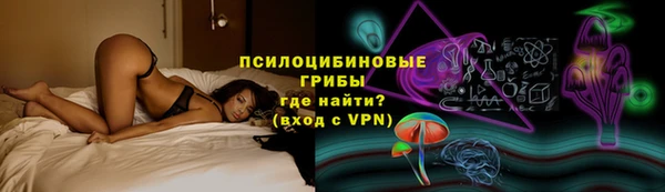 мдпв Бородино