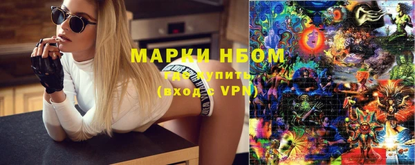прущие грибы Бугульма