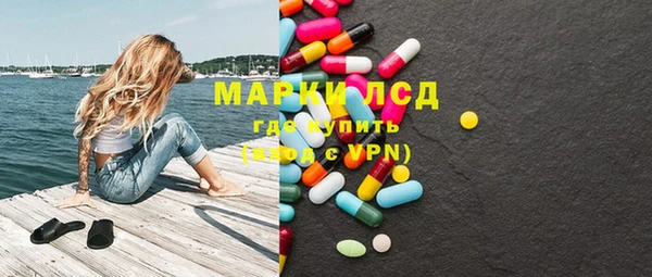 мдпв Бородино