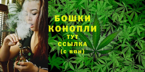 прущие грибы Бугульма