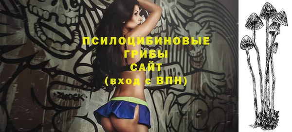 мдпв Бородино