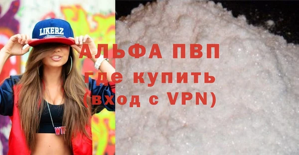 мдпв Бородино