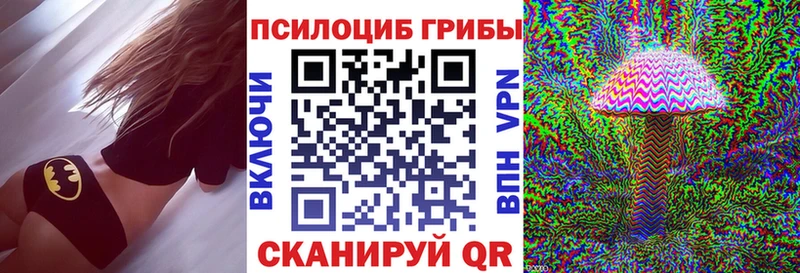 наркотики  Ядрин  Галлюциногенные грибы GOLDEN TEACHER 